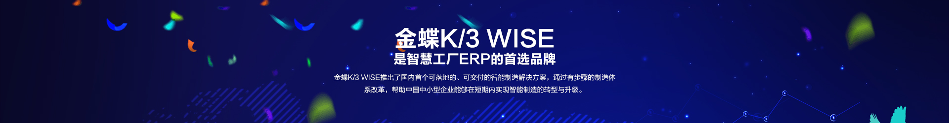 贵阳金蝶K3 WISE